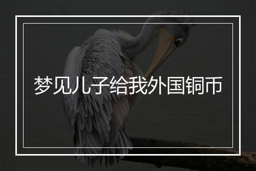 梦见儿子给我外国铜币