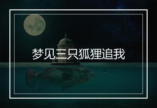 梦见三只狐狸追我