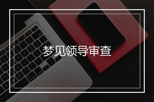 梦见领导审查