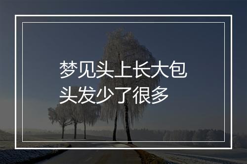 梦见头上长大包头发少了很多