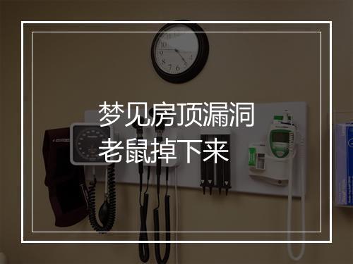 梦见房顶漏洞老鼠掉下来