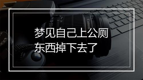 梦见自己上公厕东西掉下去了