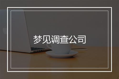 梦见调查公司