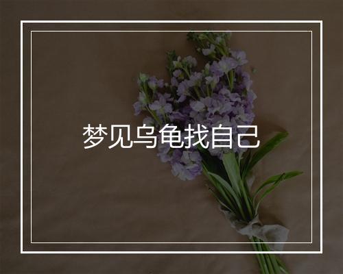 梦见乌龟找自己