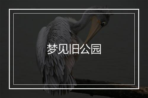 梦见旧公园