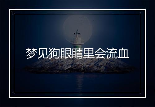 梦见狗眼睛里会流血