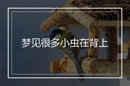 梦见很多小虫在背上