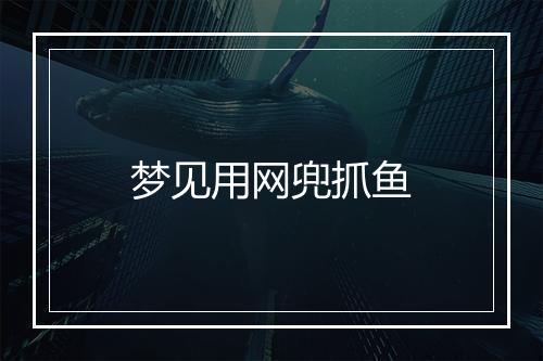 梦见用网兜抓鱼