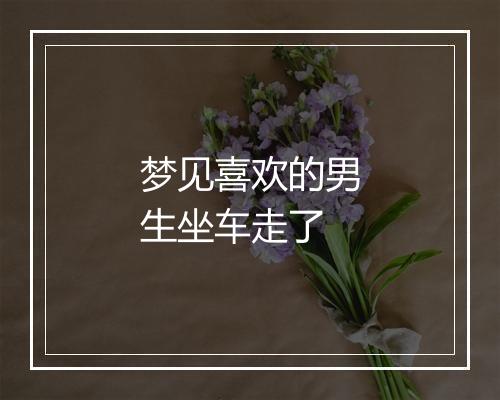 梦见喜欢的男生坐车走了