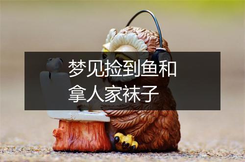 梦见捡到鱼和拿人家袜子