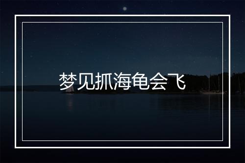 梦见抓海龟会飞