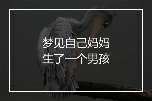 梦见自己妈妈生了一个男孩