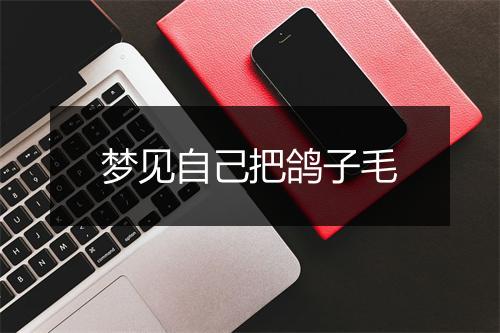 梦见自己把鸽子毛