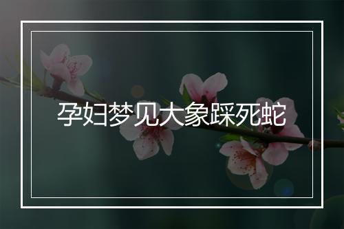 孕妇梦见大象踩死蛇