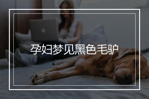 孕妇梦见黑色毛驴