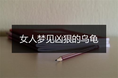 女人梦见凶狠的乌龟