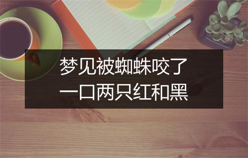 梦见被蜘蛛咬了一口两只红和黑