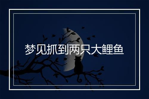 梦见抓到两只大鲤鱼