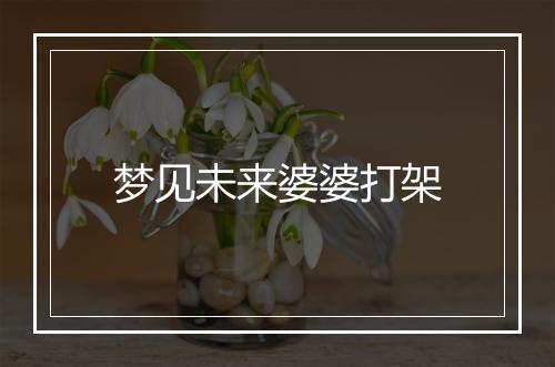 梦见未来婆婆打架