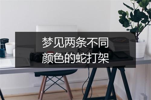 梦见两条不同颜色的蛇打架