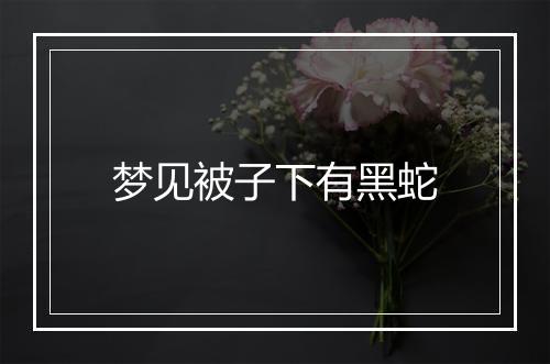 梦见被子下有黑蛇