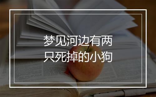 梦见河边有两只死掉的小狗