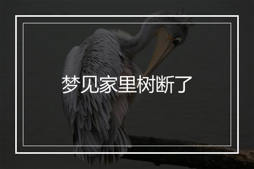 梦见家里树断了