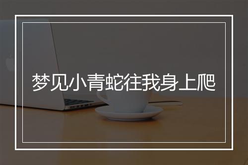 梦见小青蛇往我身上爬