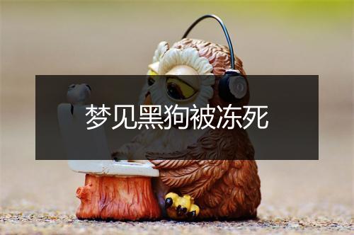 梦见黑狗被冻死