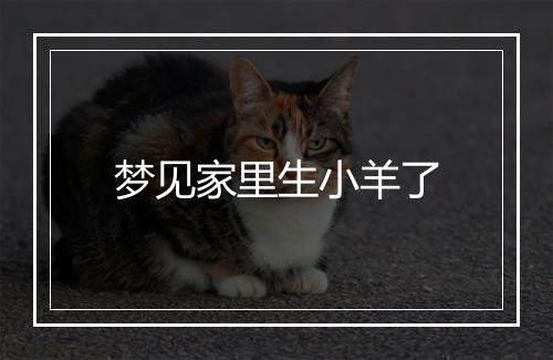 梦见家里生小羊了