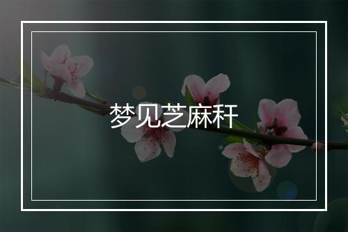 梦见芝麻秆