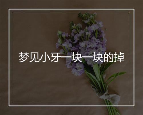 梦见小牙一块一块的掉