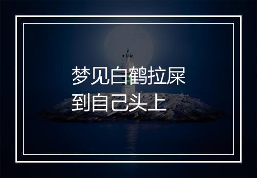 梦见白鹤拉屎到自己头上