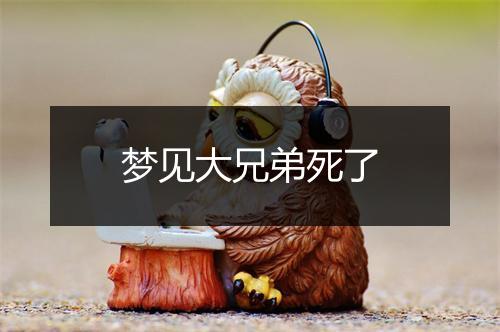 梦见大兄弟死了