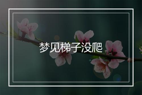 梦见梯子没爬