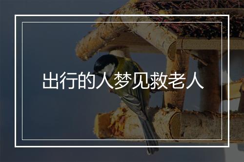 出行的人梦见救老人