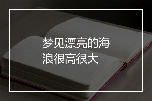 梦见漂亮的海浪很高很大