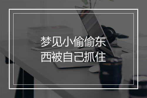 梦见小偷偷东西被自己抓住