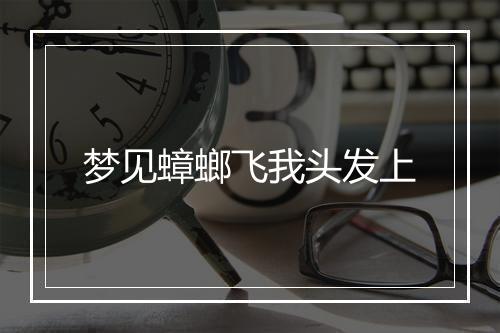 梦见蟑螂飞我头发上