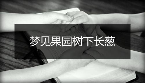 梦见果园树下长葱