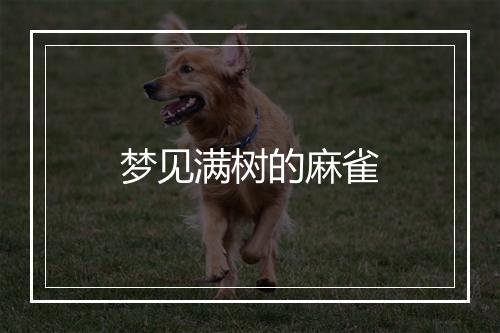 梦见满树的麻雀