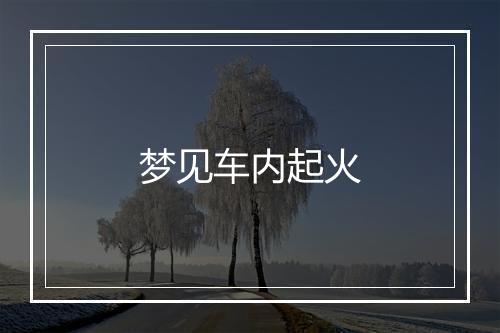 梦见车内起火