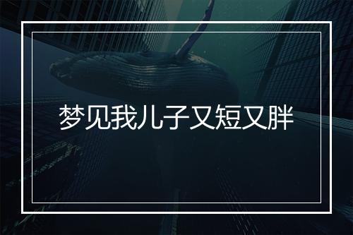 梦见我儿子又短又胖