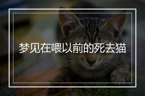 梦见在喂以前的死去猫