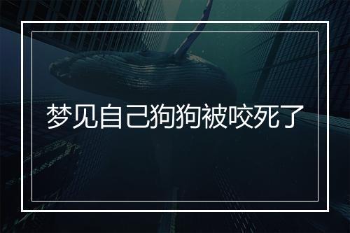 梦见自己狗狗被咬死了