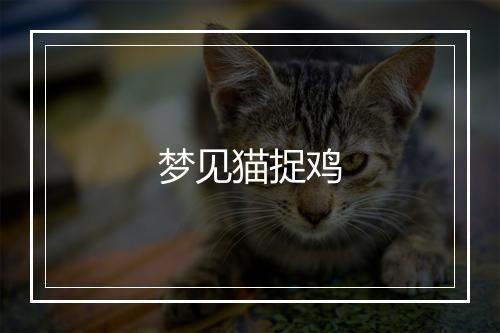 梦见猫捉鸡