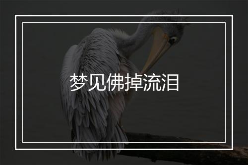 梦见佛掉流泪