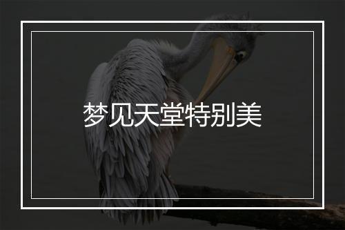 梦见天堂特别美