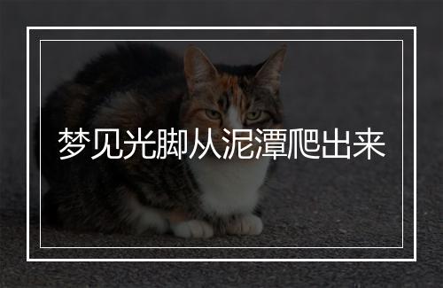 梦见光脚从泥潭爬出来