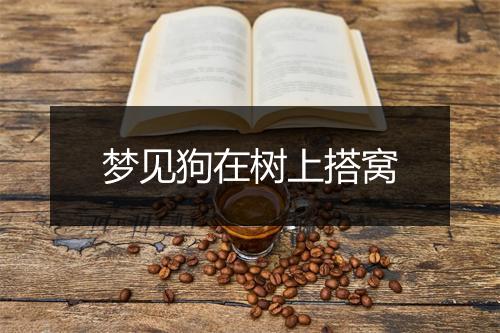 梦见狗在树上搭窝